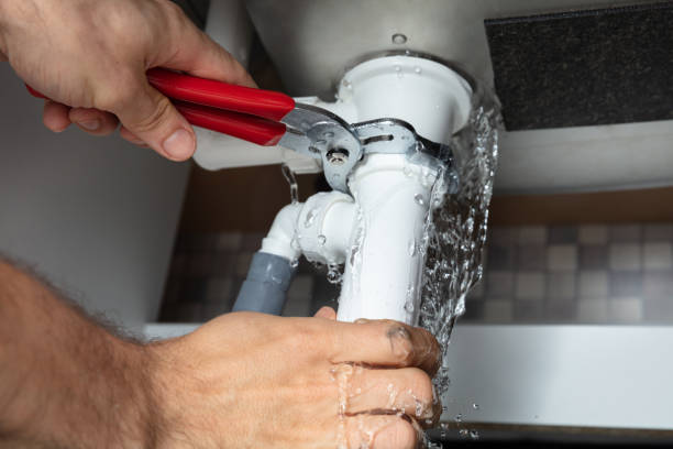 Best Water damage cleanup near me  in Essex Village, CT