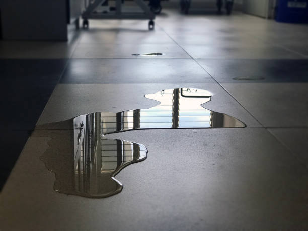 Best Water damage restoration services  in Essex Village, CT