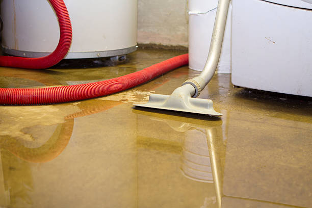 Best Water damage restoration near me  in Essex Village, CT