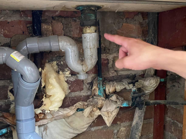 Best Flood restoration services  in Essex Village, CT
